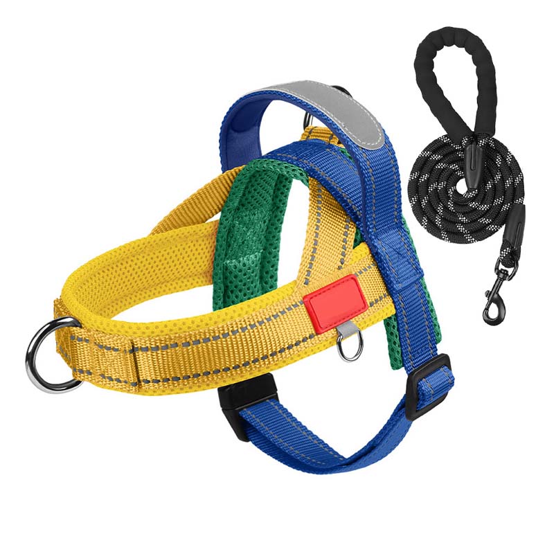 Hondenhalsband + gratis bijpassende riem 1,5 m x 1.0