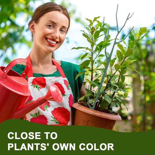 💕💖🌿Tuinieren Groen Plant Ondersteuningsframe