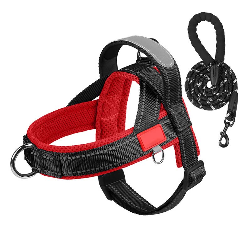 Hondenhalsband + gratis bijpassende riem 1,5 m x 1.0