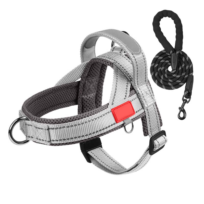 Hondenhalsband + gratis bijpassende riem 1,5 m x 1.0