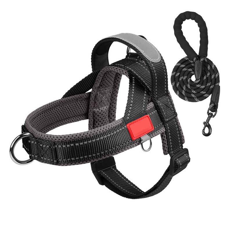 Hondenhalsband + gratis bijpassende riem 1,5 m x 1.0