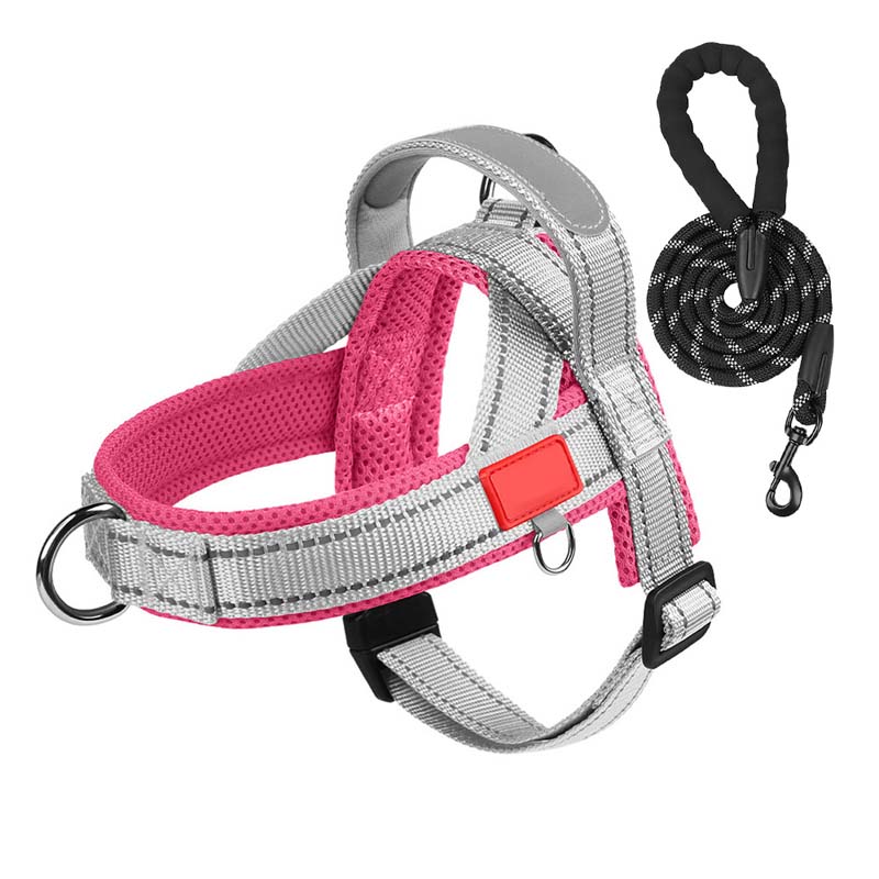 Hondenhalsband + gratis bijpassende riem 1,5 m x 1.0