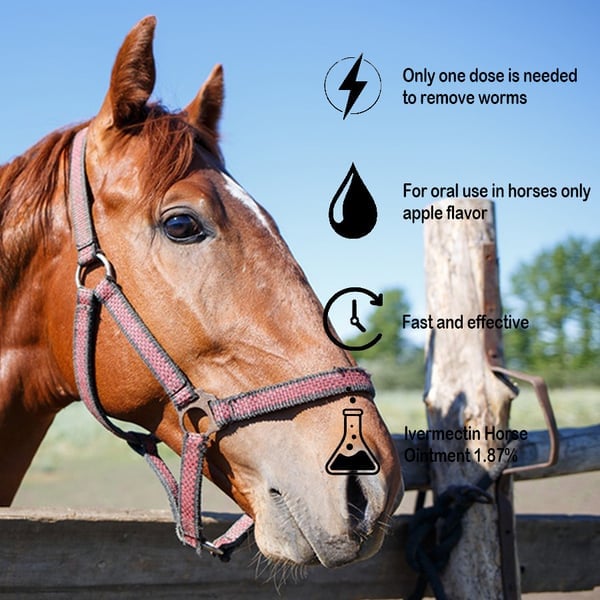 Ivermectine-pasta voor paarden 1,87% in tubes van 6,08