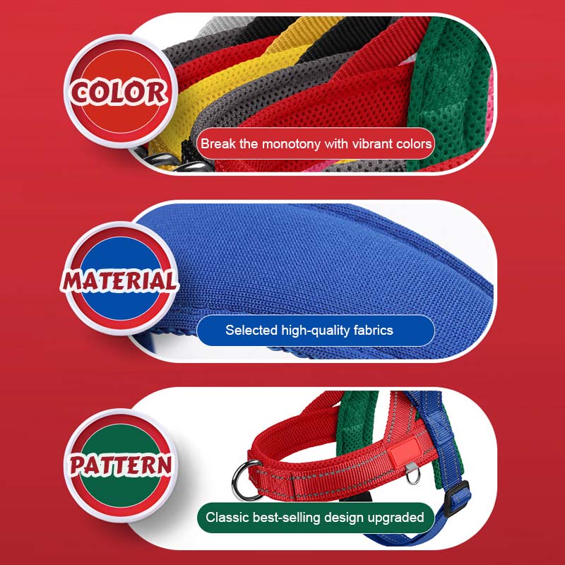 Hondenhalsband + gratis bijpassende riem 1,5 m x 1.0