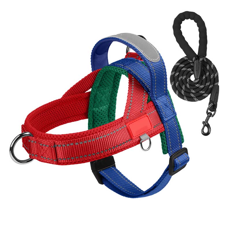 Hondenhalsband + gratis bijpassende riem 1,5 m x 1.0