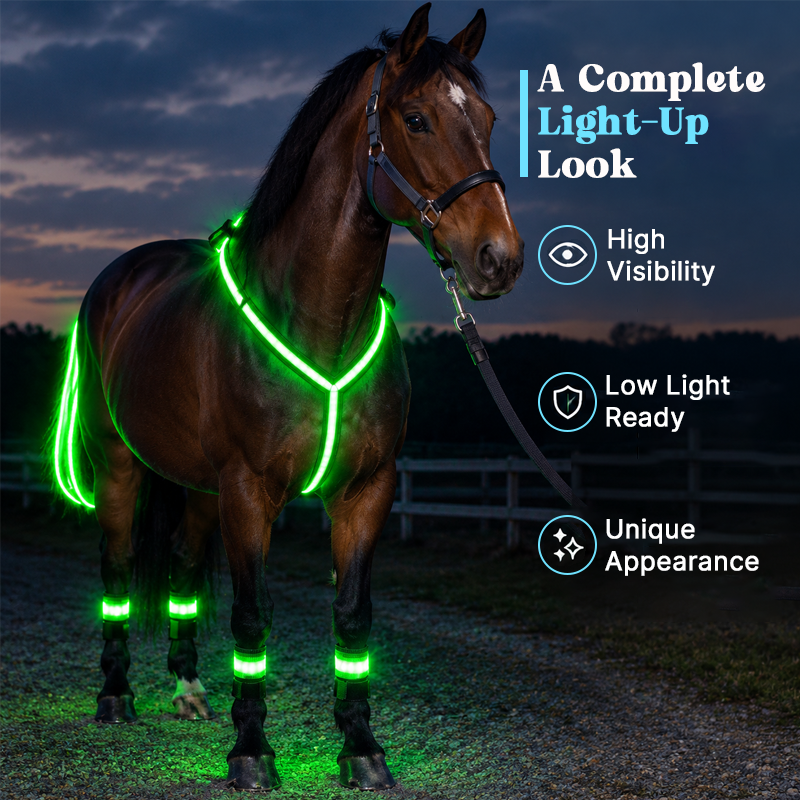 🐎 Lichtgevende paardrijset