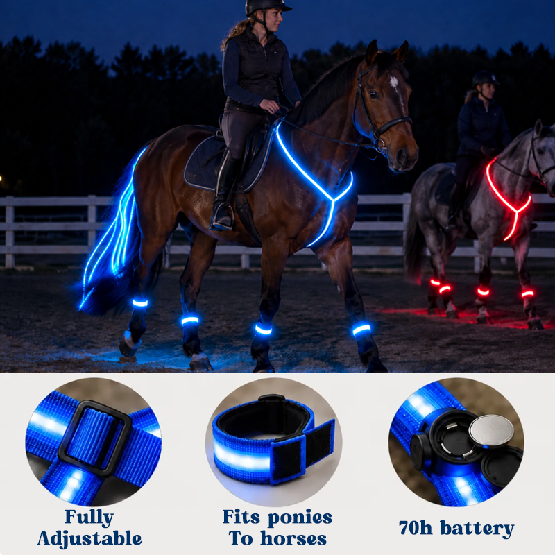 🐎 Lichtgevende paardrijset