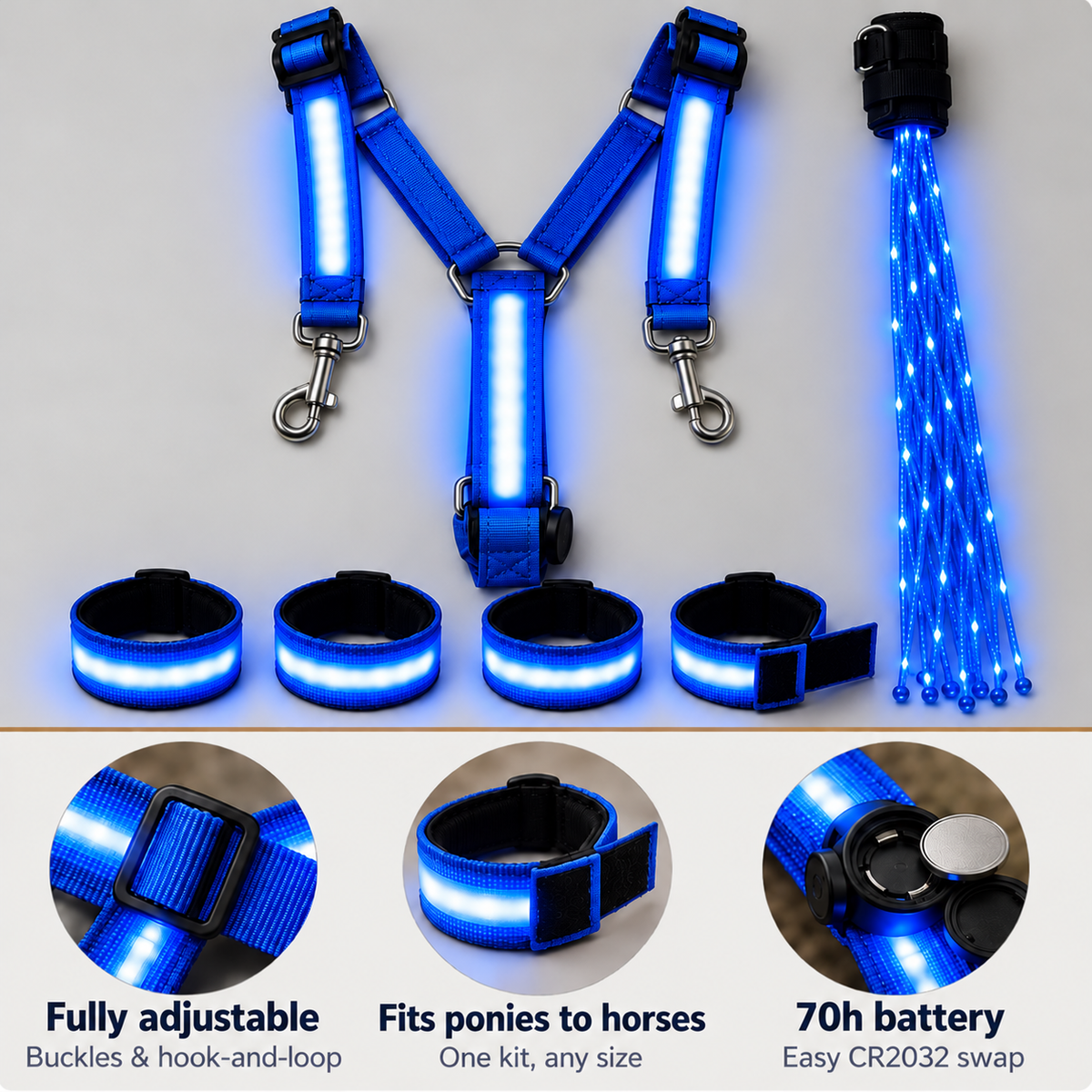 🐎💡Oplichtende paardrijset