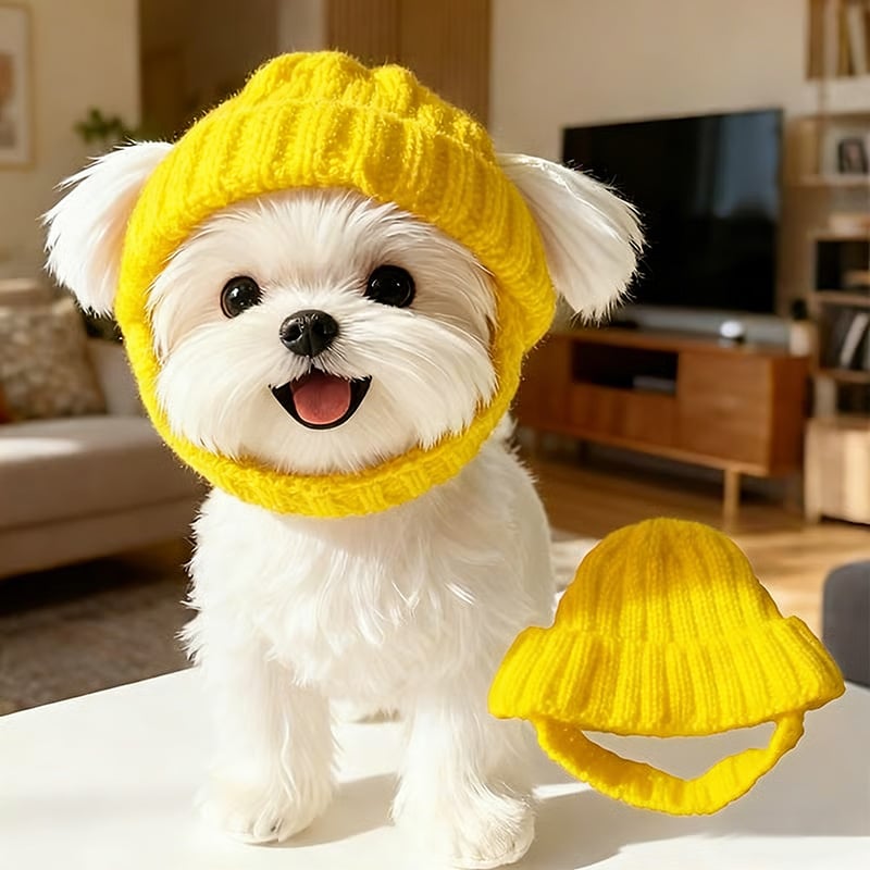 🔥 Laatste dag aanbieding - 🐾 Gebreide hondenmuts - Warme wintermuts