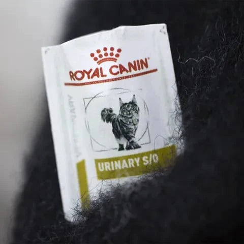 🎄✨Wollen vilten huisdieren – eigenzinnige handgemaakte metgezellen