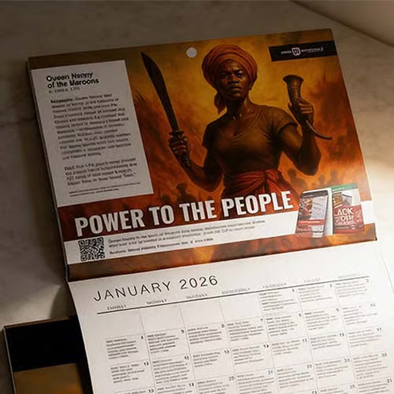 🔥🏡Nieuwjaarsuitverkoop 50% korting✨💗2026 Power to the People 365 feitenkalende📅