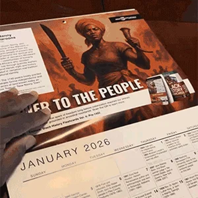 🔥🏡Nieuwjaarsuitverkoop 50% korting✨💗2026 Power to the People 365 feitenkalende📅