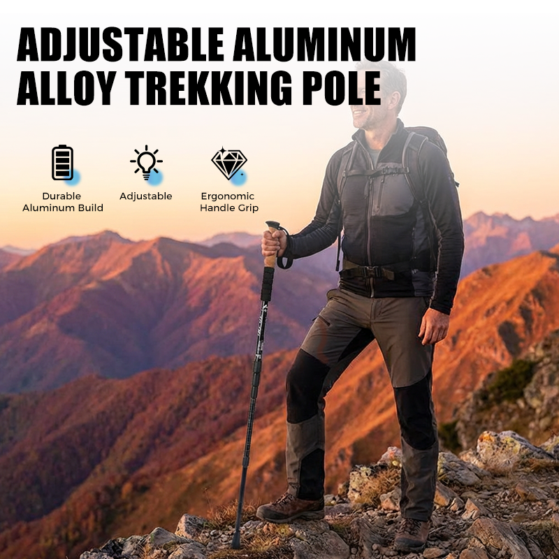 Verstelbare aluminium wandelstok
